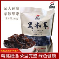 山陽縣沁慧源黑木耳500g/袋 秦嶺特級木耳